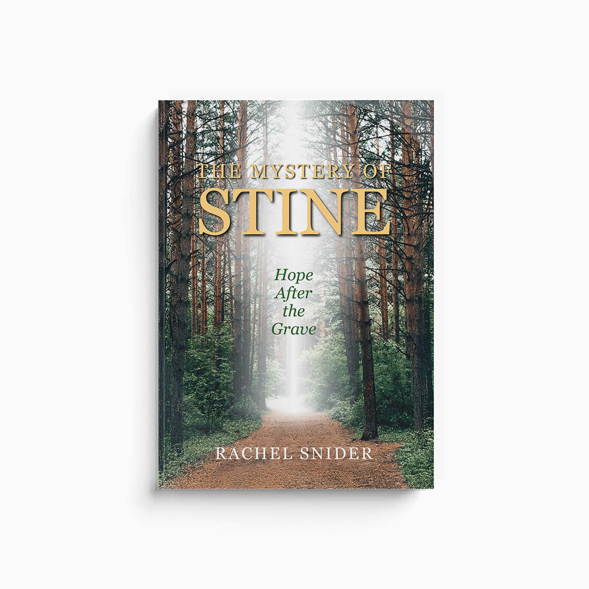 The Mystery of STINE